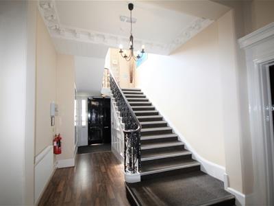 Picture 11